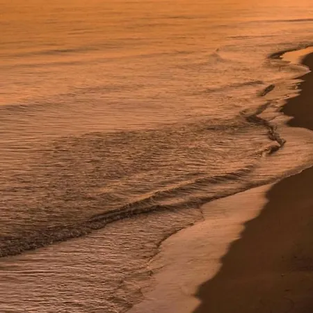 Nikolas House * Vlorë