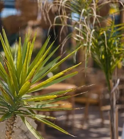 Nikolas House Vlorë