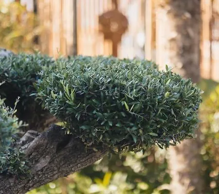 Nikolas House Lägenhet *