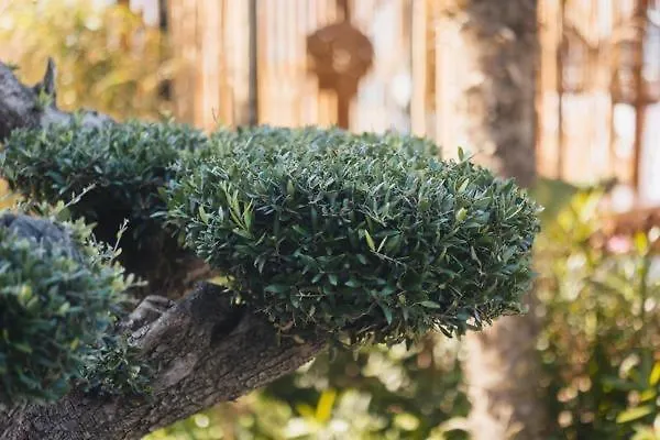 Nikolas House Daire *